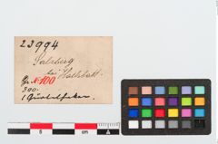 Etikett zu Bronzegürtelhaken (NHMW-PRAE-023994)